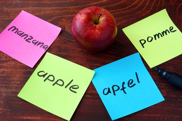 Traduction allemand-français - Equivalences consulting Sàrl